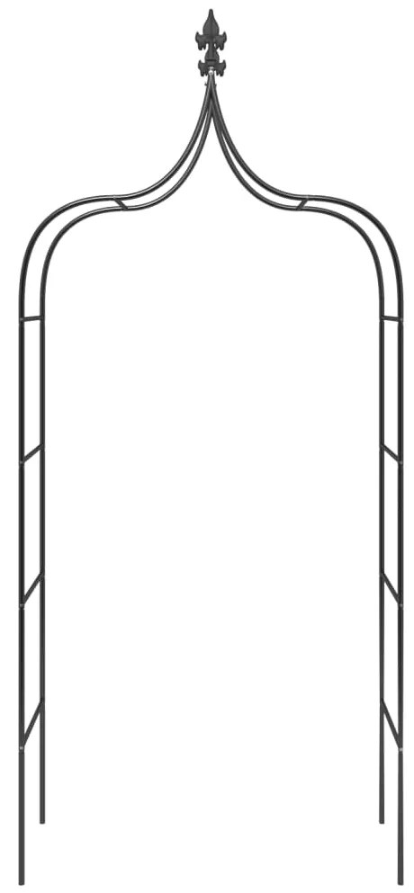 vidaXL Καμάρες Κήπου 2 τεμ. Μαύρες 120 x 38 x 260 εκ. από Ατσάλι