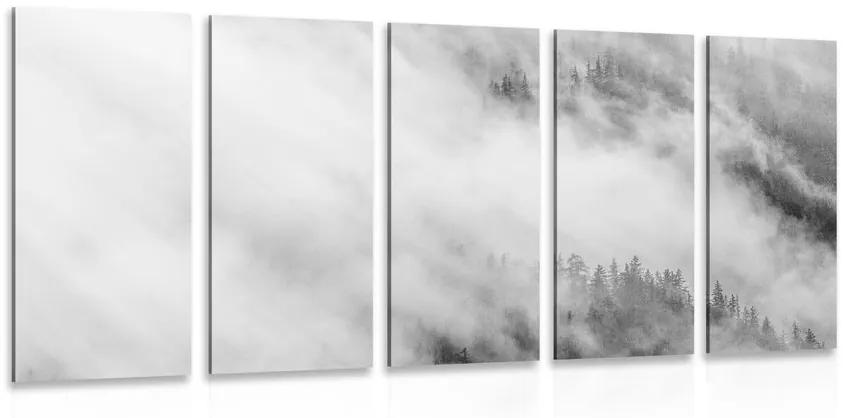 Εικόνα 5 μερών ασπρόμαυρο ομιχλώδες δάσος - 200x100