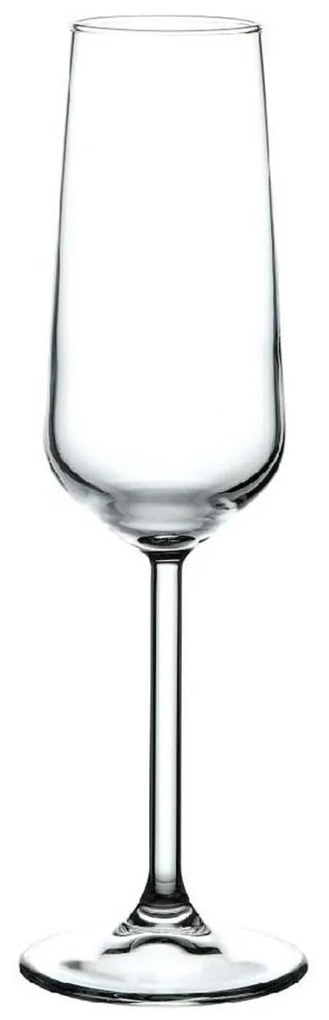 Ποτήρι Σαμπάνιας Κολωνάτο 195ml Pasabahce By Espiel Allegra SP440079G6