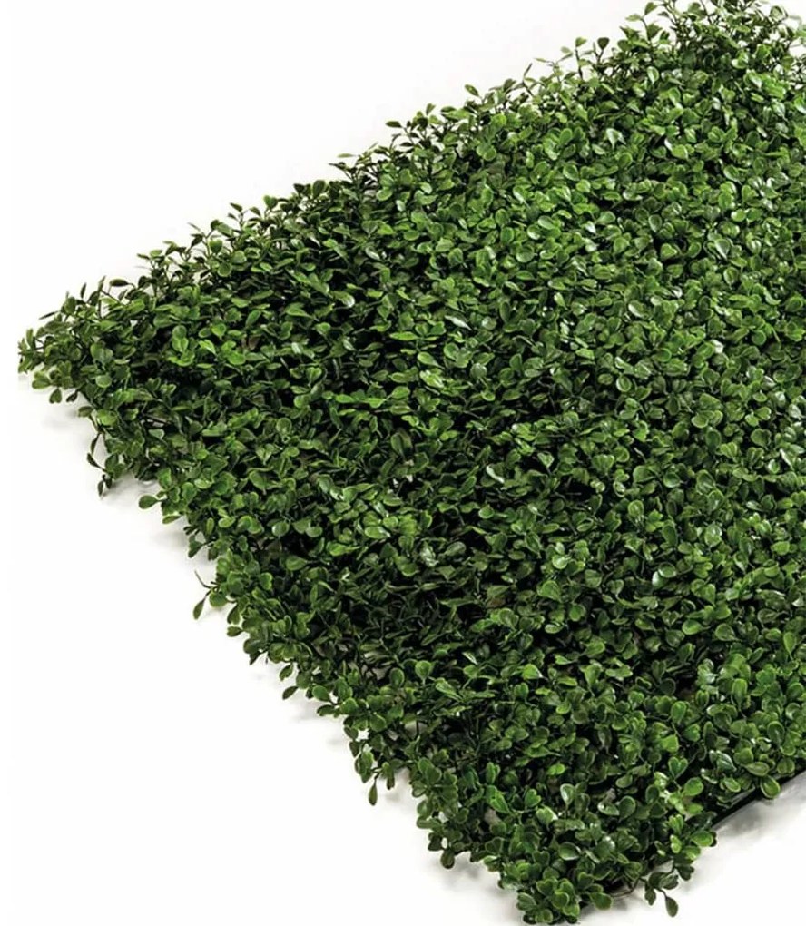 Emerald Πυξάρι Τεχνητό Πάνελ 4 τεμ. Πράσινο 50 x 50 εκ. 417980