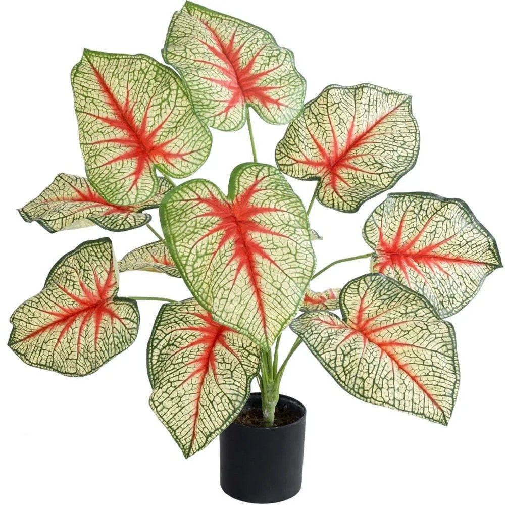 Τεχνητό Φυτό Caladium 20932 Φ58x55cm Multi GloboStar Πολυαιθυλένιο,Ύφασμα