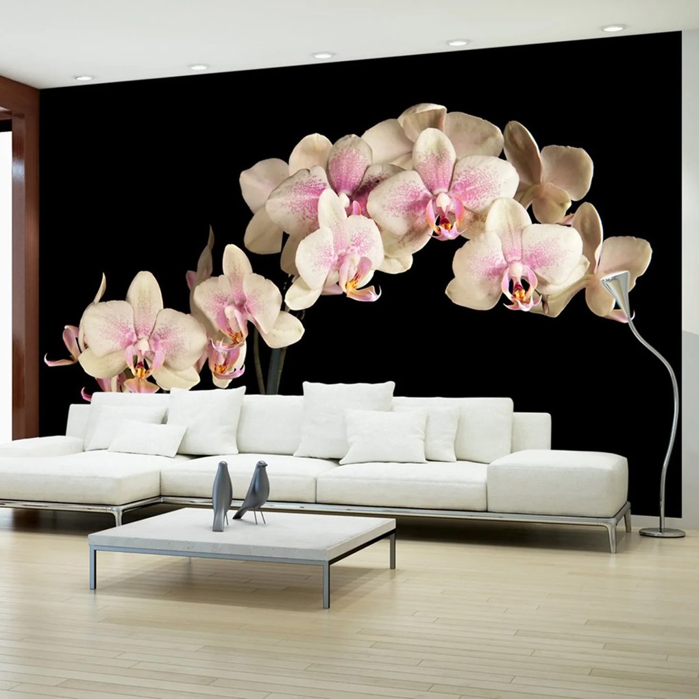 Φωτοταπετσαρία - Blooming orchid 450x270