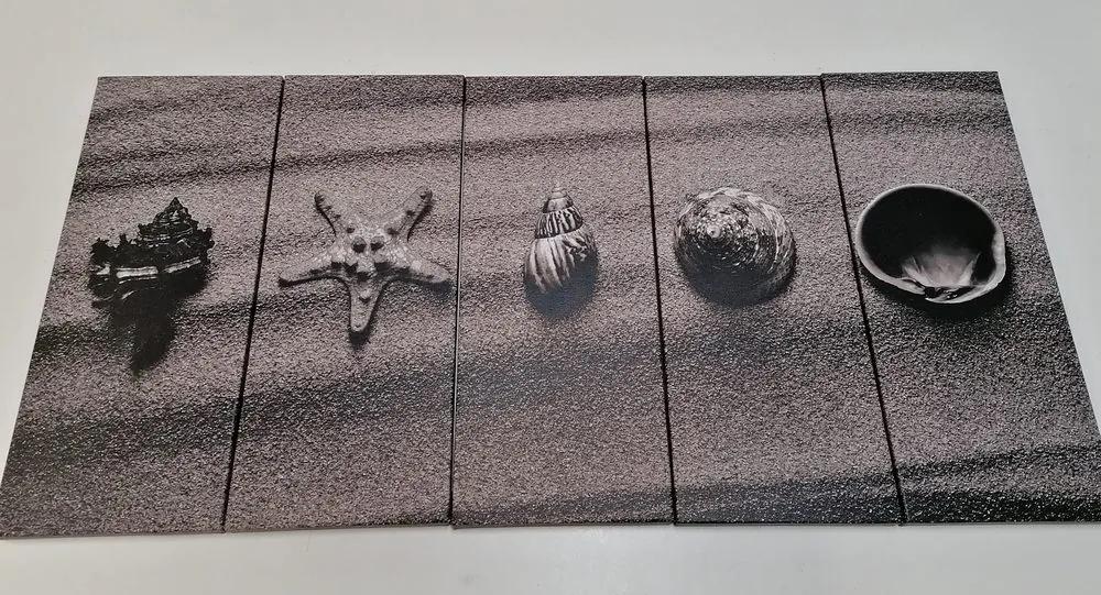 Εικόνα 5 μερών Κοχύλια σε αμμώδη παραλία σε μαύρο & άσπρο - 200x100