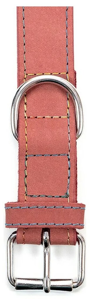 Κολλάρο Σκύλου Gloria Oasis Ροζ (60 x 3 cm)