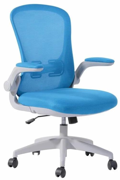 Καρέκλα γραφείου Mesa 443, Μπλε, Γκρι, 96x61x65cm, 13 kg, Με μπράτσα, Με ρόδες, Μηχανισμός καρέκλας: Κλίση | Epipla1.gr