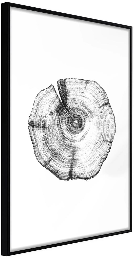 Αφίσα - Tree Rings - 20x30 - Μαύρο - Χωρίς πασπαρτού