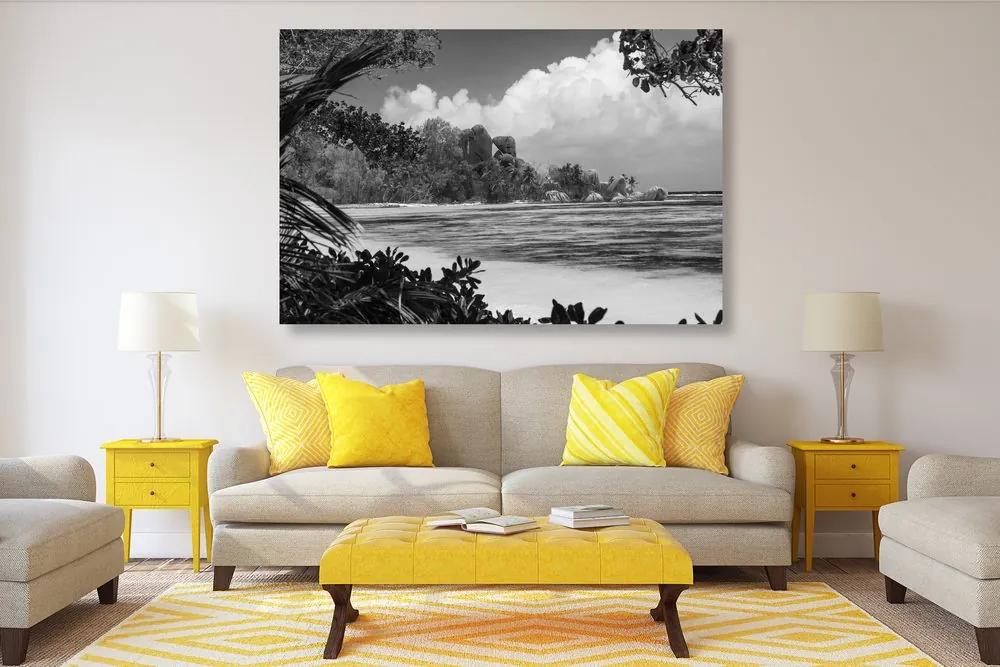 Εικόνα της όμορφης παραλίας στο νησί La Digue σε μαύρο & άσπρο - 120x80