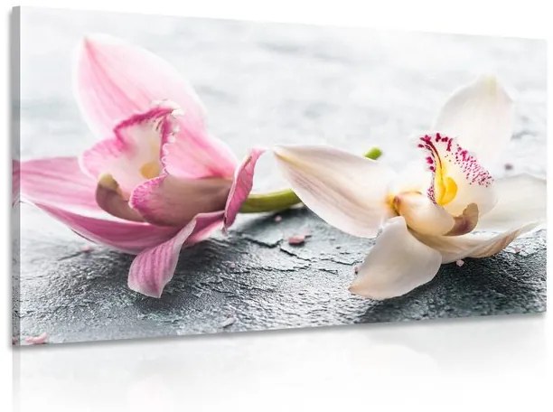 Εικόνα δύο πολύχρωμων λουλουδιών ορχιδέας - 90x60