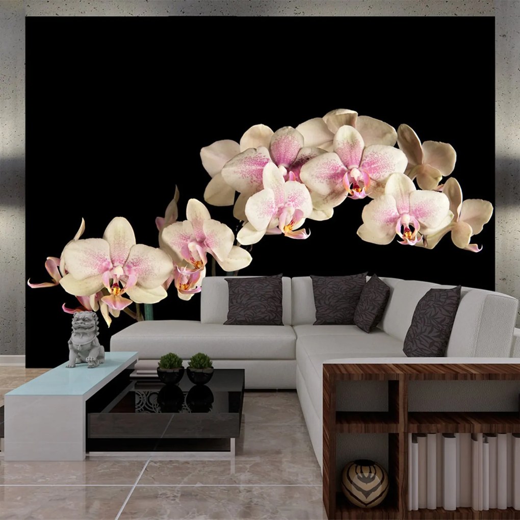 Φωτοταπετσαρία - Blooming orchid 200x154