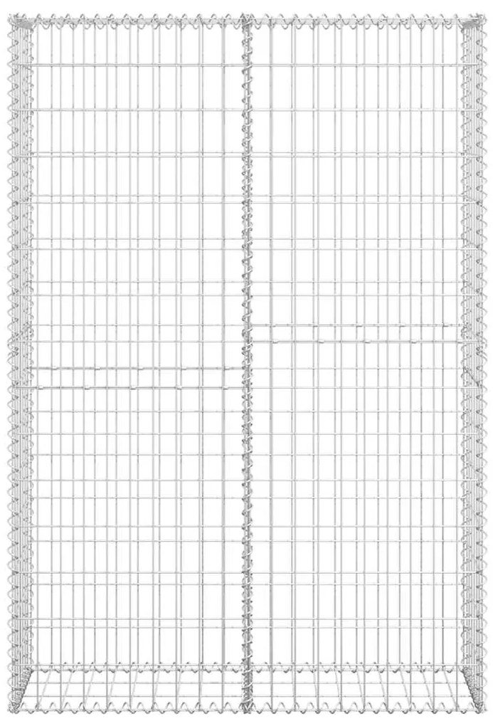 vidaXL Συρματοκιβώτιο με Καπάκια 150 x 100 x 30 εκ. Γαλβανισμένο Σύρμα