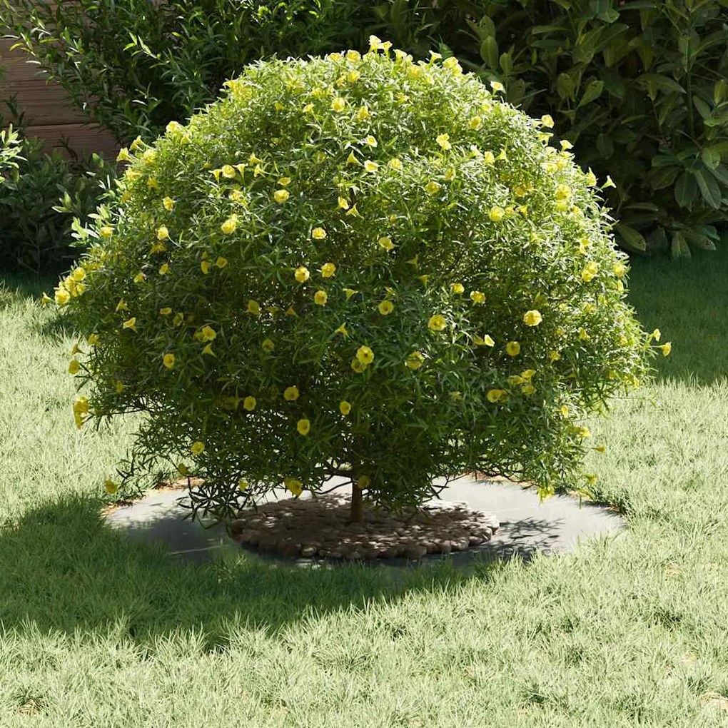 vidaXL Flat Tree Ring Ø30/60 εκ. Γαλβανισμένος Χάλυβας