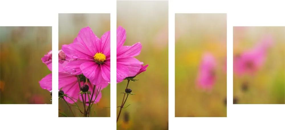 Εικόνα 5 μερών ενός ανθισμένου ροζ λουλουδιού