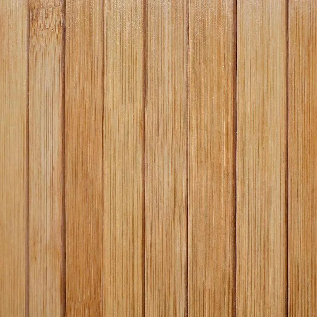 vidaXL Διαχωριστικό Δωματίου σε Φυσικό Χρώμα 250 x 165 εκ. Μπαμπού