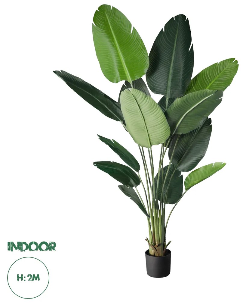 GloboStar® Artificial Garden STRELITZIA 20027 Τεχνητό Διακοσμητικό Φυτό  Στρελίτσια - Πουλί του Παραδείσου Υ200cm