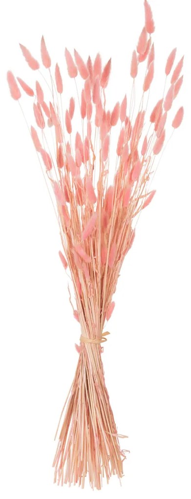 ΔΙΑΚΟΣΜΗΤΙΚΟ ΜΠΟΥΚΕΤΟ ΑΠΟΞΗΡΑΜΕΝΟ HM7960 RABBIT TAIL-PINK 75Υεκ.