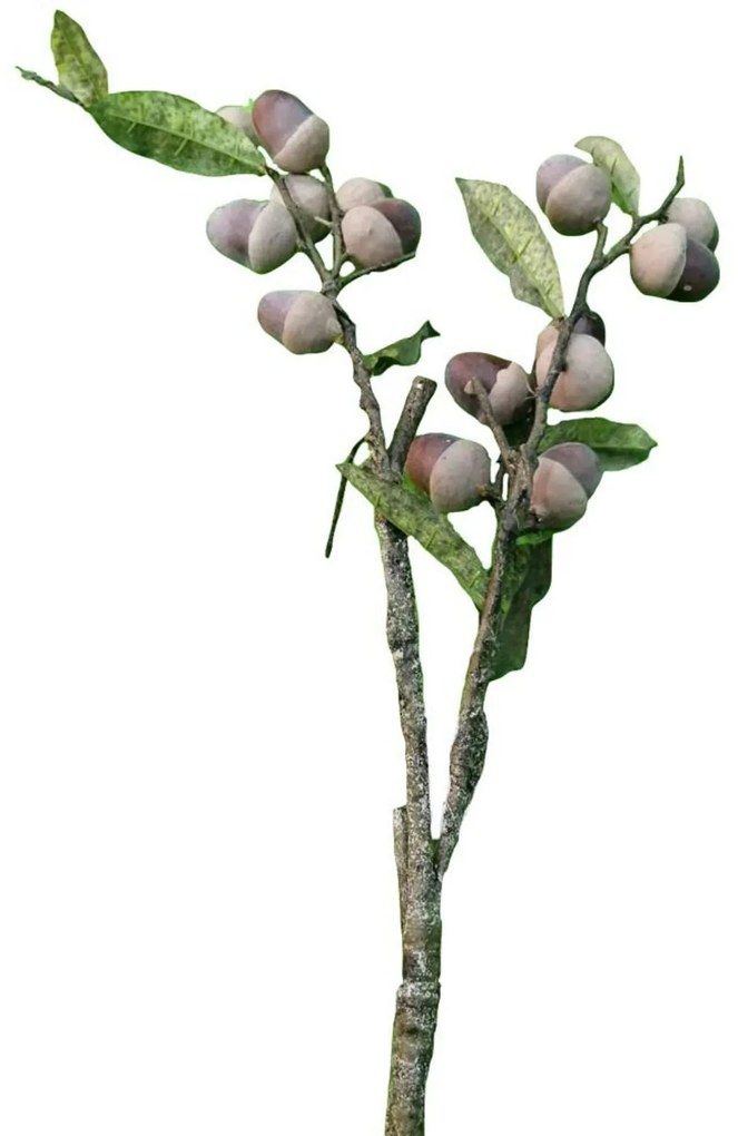 Supergreens Τεχνητό Κλαδί Βελανίδι 73 εκ. - 4190-7 - 4190-7