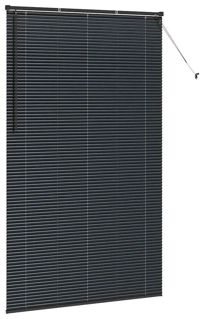 vidaXL Ρολό Παραθύρου με κουρτίνες Άλλο Μαύρο 135 x 220 εκ. Αλουμίνιο