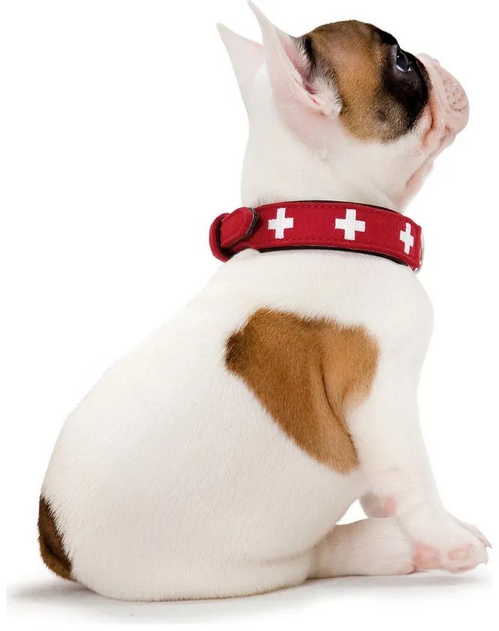 Κολλάρο Σκύλου Hunter Swiss Κόκκινο/Μαύρο (41-49 cm)