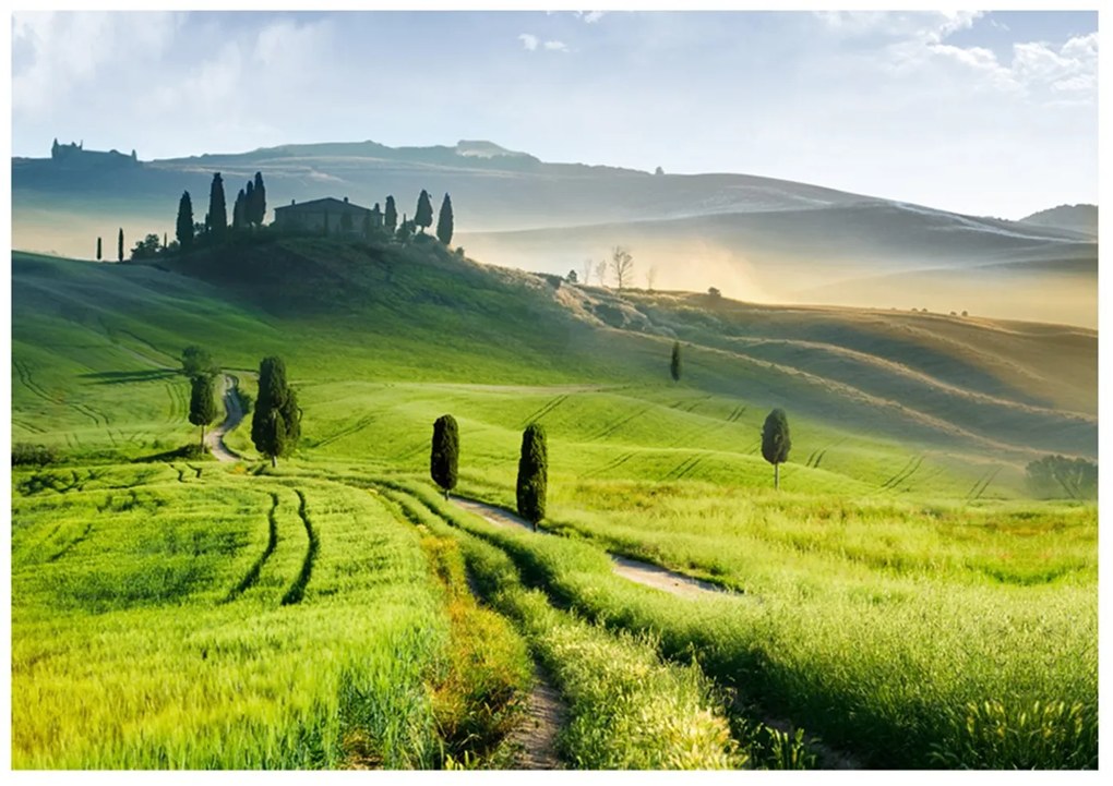 Φωτοταπετσαρία - Morning in the countryside 100x70