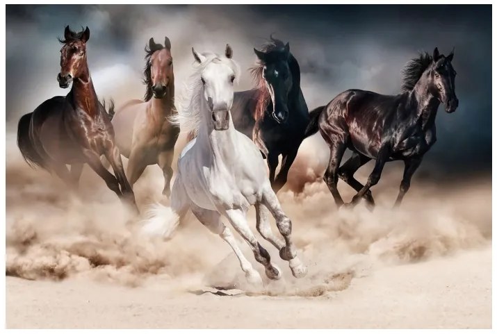 OBRAZ HORSES 120X80 DIOMMI-80-2850