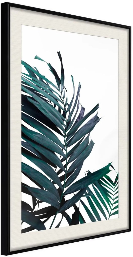 Αφίσα - Evergreen Palm Leaves - 20x30 - Μαύρο - Με πασπαρτού