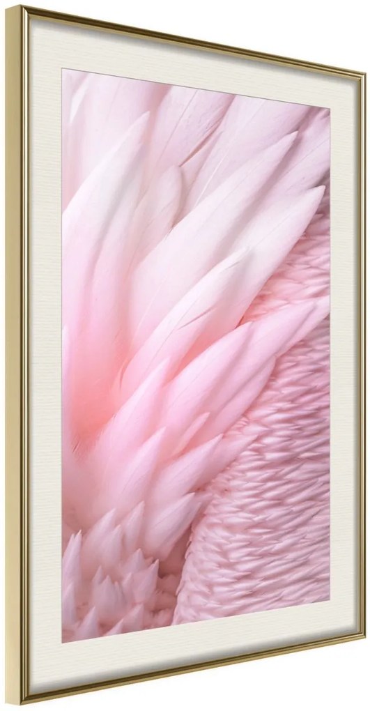 Αφίσα - Pink Feathers - 30x45 - Χρυσό - Με πασπαρτού