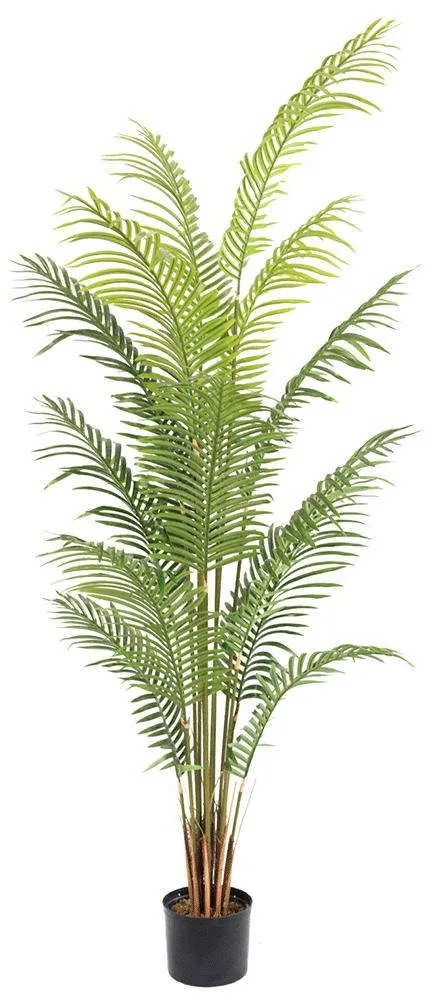 Τεχνητό Δέντρο Αρέκα 3860-6 70x70x200cm Green Supergreens Polyethylene
