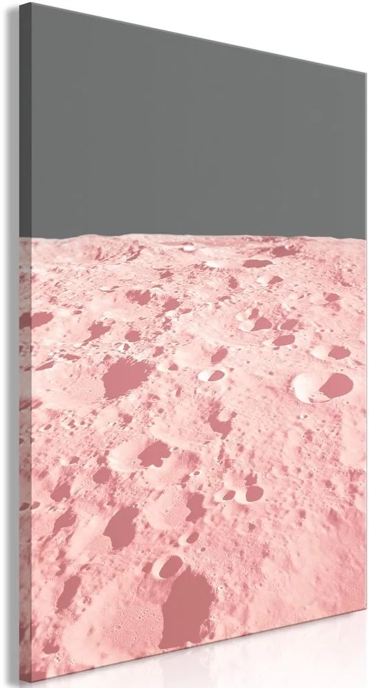 Πίνακας - Pink Moon (1 Part) Vertical - 60x90