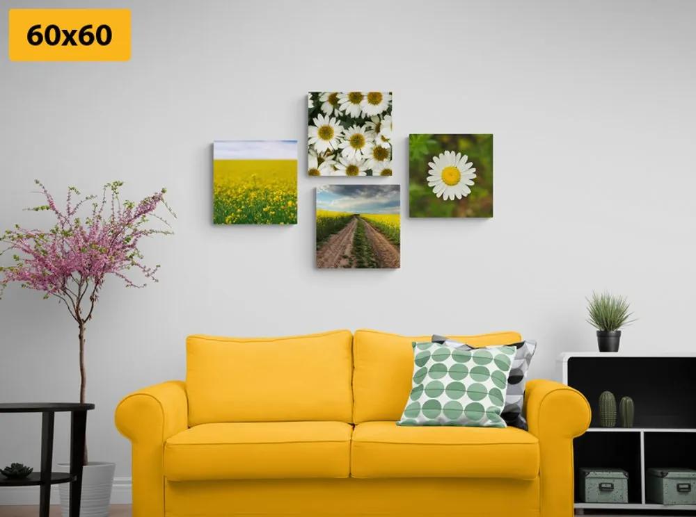 Σετ εικόνων Λιβάδι γεμάτο λουλούδια - 4x 60x60