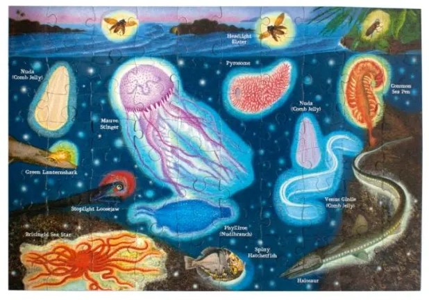 Παιδικό Puzzle ΕΕΒΟΟ 100pcs Bioluminescent
