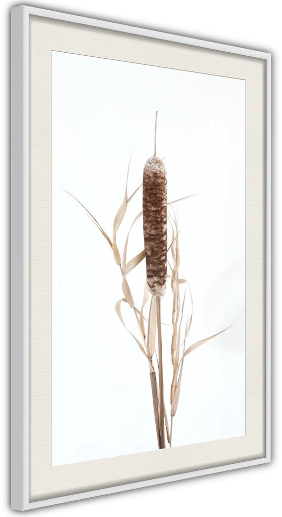 Αφίσα - Typha - 20x30 - Χρυσό - Χωρίς πασπαρτού