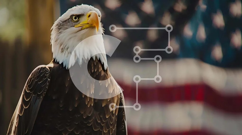 Intra Συλλεκτικό Ξύλινο Παζλ Plywood 4mm - Φαλακρός αετός με αμερικανική σημαία Σε Ξύλινο Κουτί - Διαστάσεις: 10x10 cm – 25 κομμάτια