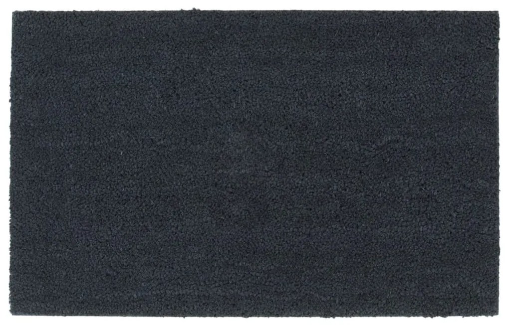Πατάκι Εισόδου Σκούρο Γκρι 50 x 80 εκ. Θυσανωτός Κοκοφοίνικας