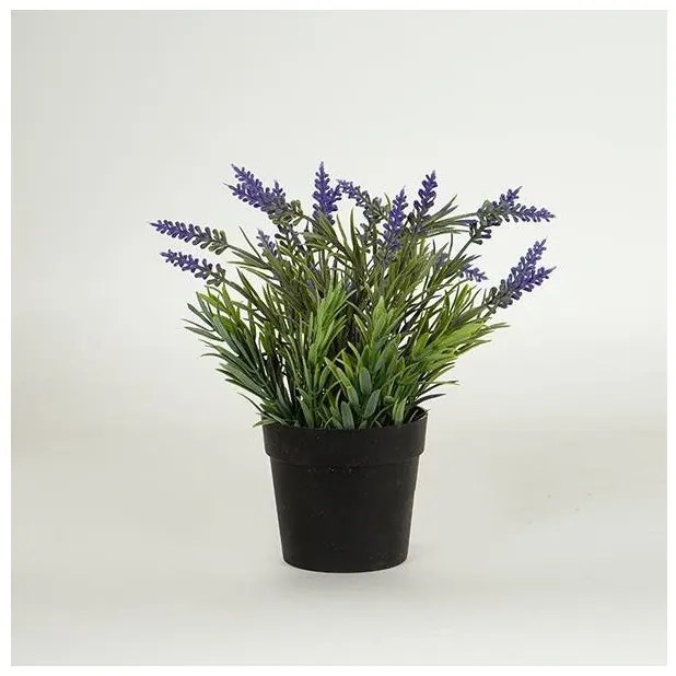 Λεβάντα Σε Γλαστρακι Πλαστικό Μαύρο 20cm 758-14035 Estheti-758-14035-Μαύρο 758-14035
