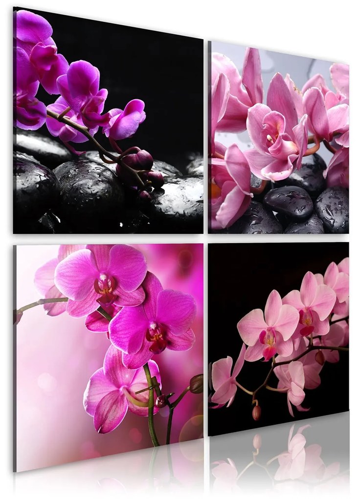 Πίνακας - Orchids more beautiful than ever 80x80