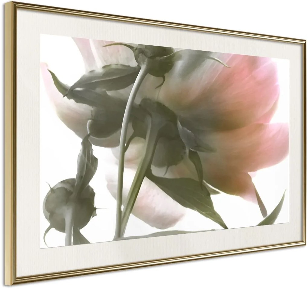 Αφίσα - Under the Flower - 30x20 - Χρυσό - Με πασπαρτού