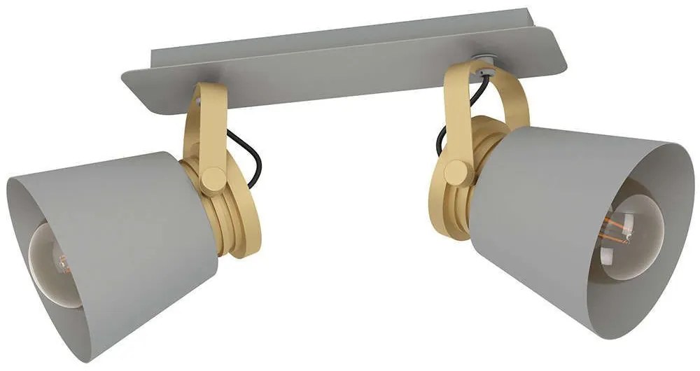 Φωτιστικό Οροφής - Πλαφονιέρα Twicken 43836 37x20,5x17,5cm 2xΕ27 40W Grey-Gold Eglo Steel