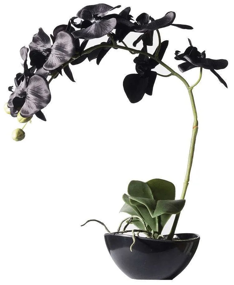 Τεχνητό Φυτό Ορχιδέα Με Κασπώ 1170-6 24x15x48cm Black Supergreens Polyethylene