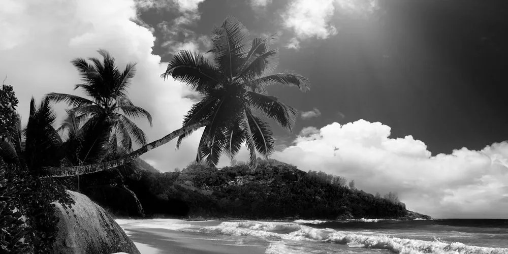 Εικόνα μιας όμορφης παραλίας στο νησί των Σεϋχελλών σε ασπρόμαυρο
