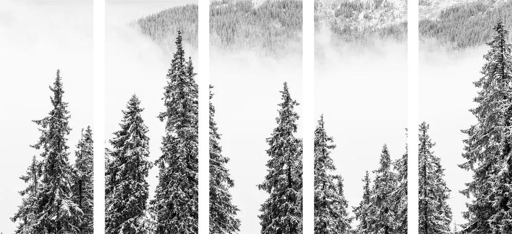 Εικόνα 5 τμημάτων χιονισμένα πεύκα σε μαύρο & άσπρο - 100x50