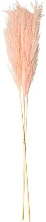 Beauty Home PAMPAS ΡΟΖ 80 CM  3 ΤΜΧ