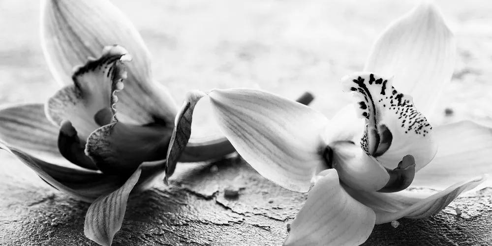 Εικόνα λουλουδιών ορχιδέας σε ασπρόμαυρο σχέδιο - 120x60