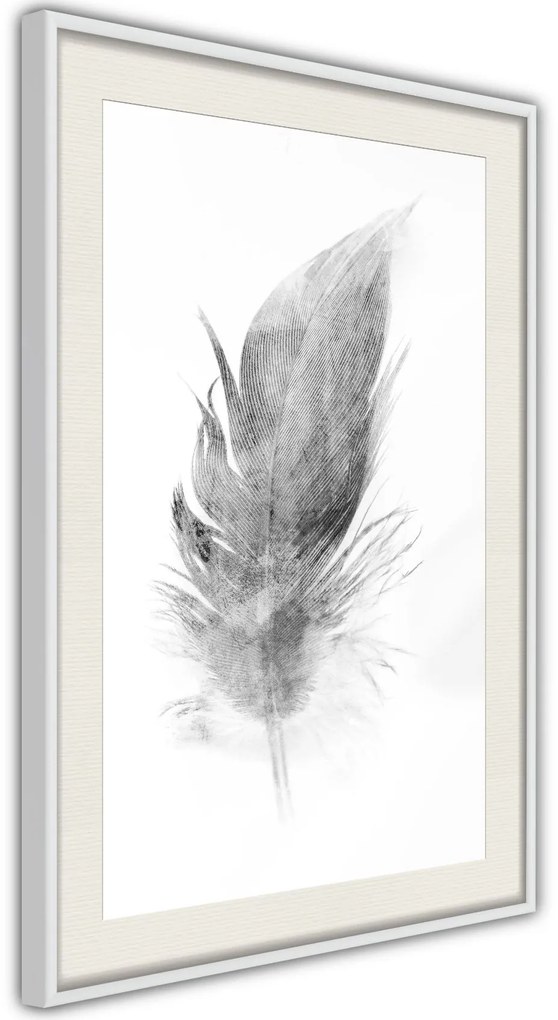 Αφίσα - Lost Feather (Grey) - 20x30 - Χρυσό - Χωρίς πασπαρτού