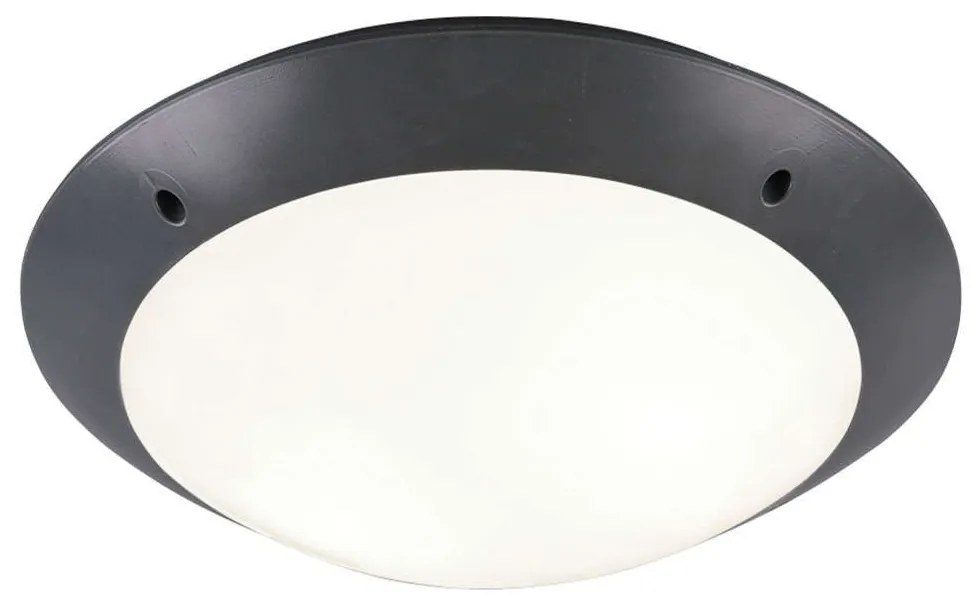 Φωτιστικό Οροφής - Πλαφονιέρα Camaro R60502042 33x9cm 2xE27 12W Anthracite-White RL Lighting Plastic