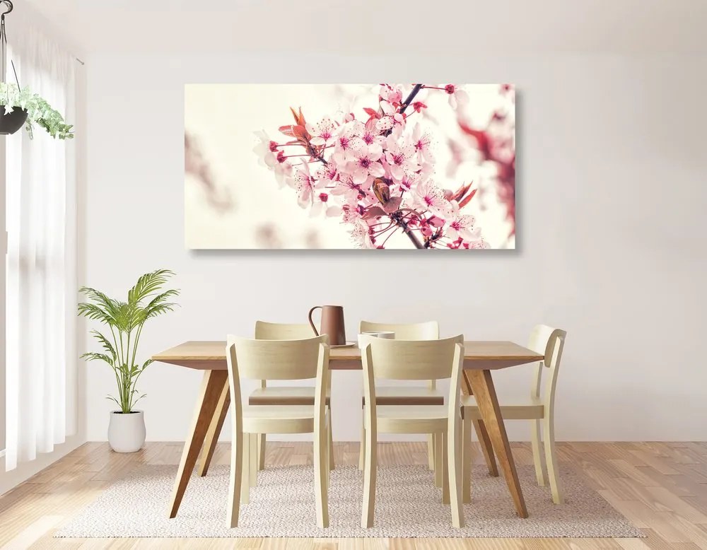 Εικόνα με ροζ άνθη κερασιάς - 100x50