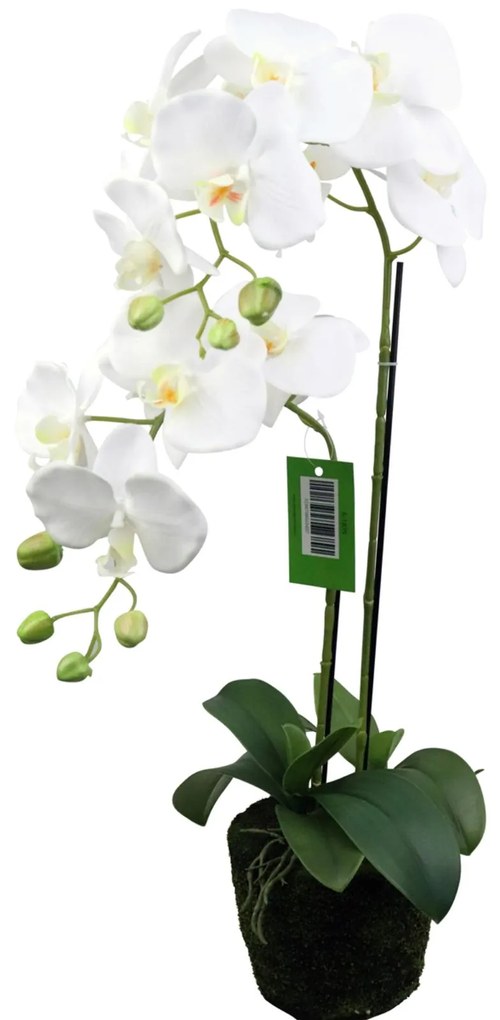 Supergreens Τεχνητό Φυτό Ορχιδέα Phalaenopsis Λευκό 67 εκ. - 5301-6