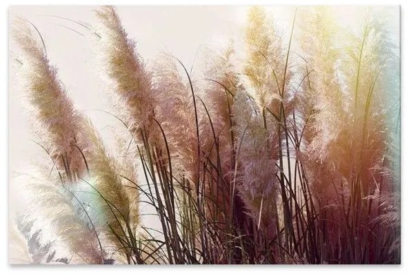 Πίνακας σε καμβά Soft Pampas" ψηφιακής εκτύπωσης 125x80x3εκ." GP033-0123 Megapap GP033-0123