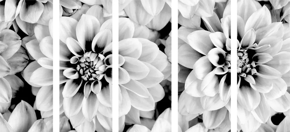 Εικόνα 5 τμημάτων λουλούδια ντάλια σε ασπρόμαυρο - 200x100