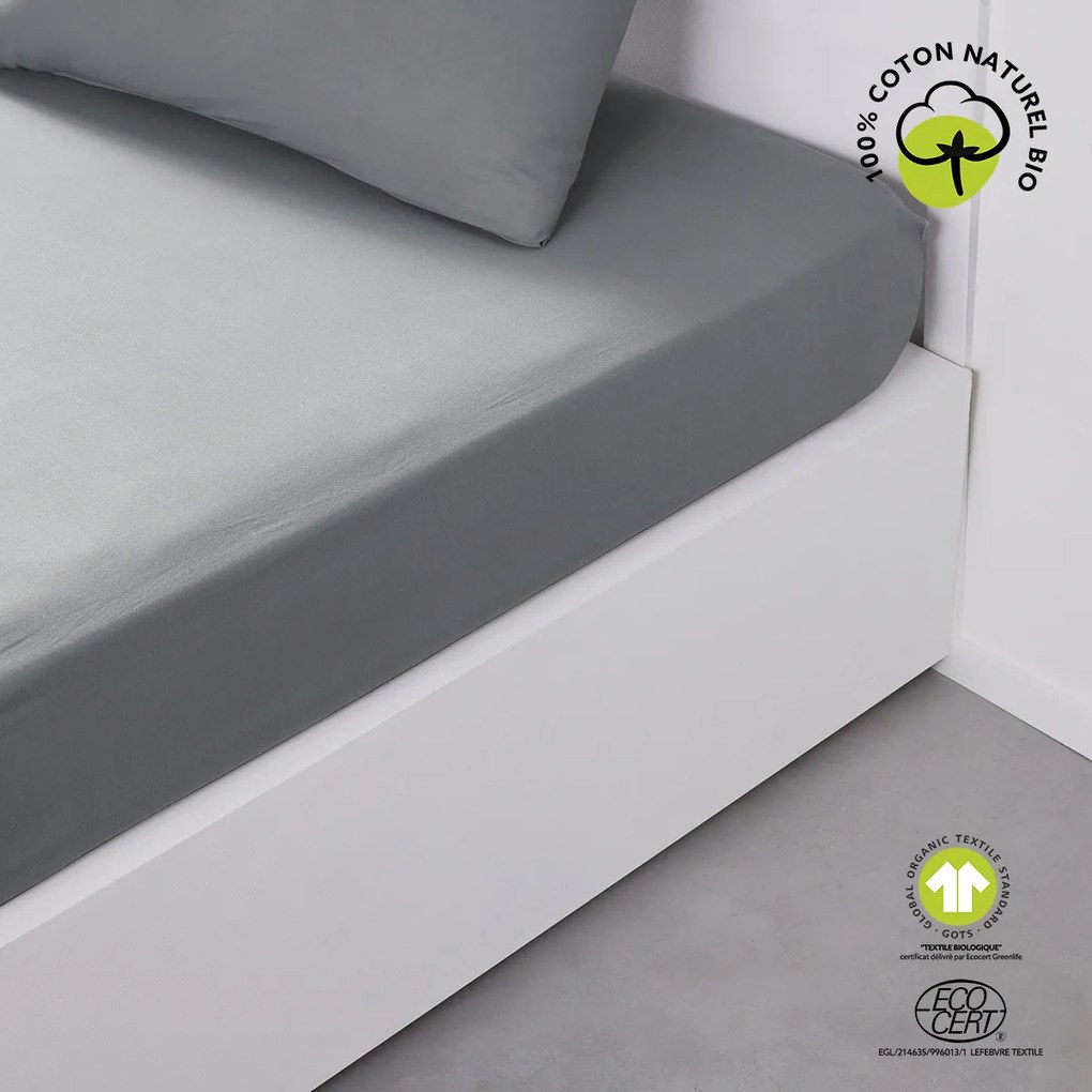 Σεντόνια με λάστιχο Today  DH 180/200+30 Coton TODAY Organic Acier