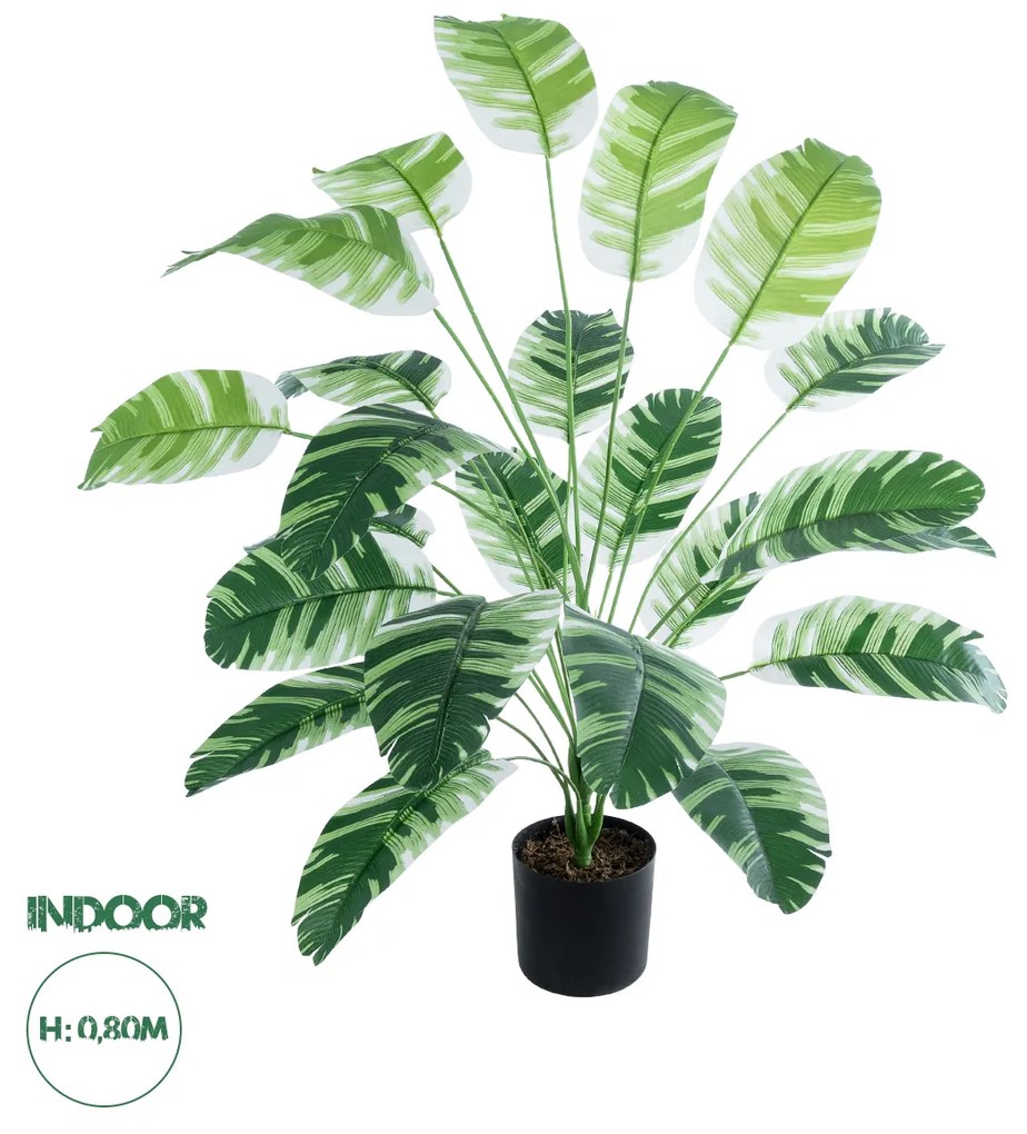 Artificial Garden BANANA ZEBRA PLANT 20918 - Διακοσμητικό Φυτό Μπανανιά Ζέβρα Φ83 x Υ80cm